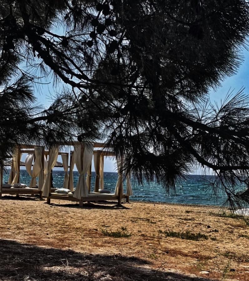 Villa Anais Prinos  Bagian luar foto